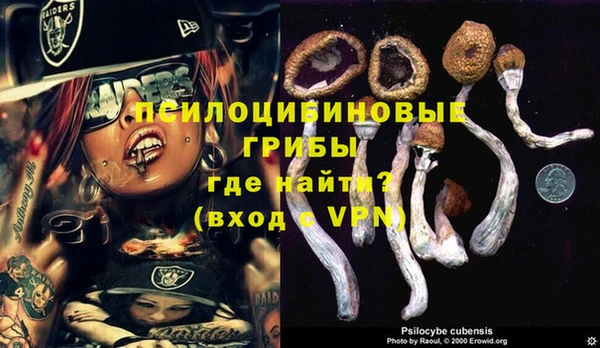 кокаин премиум Богородицк