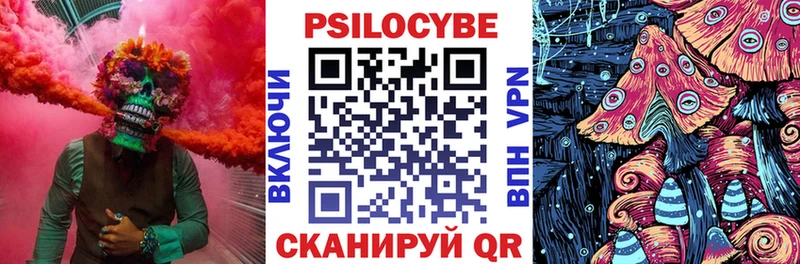 Псилоцибиновые грибы Psilocybe продажа наркотиков Велиж